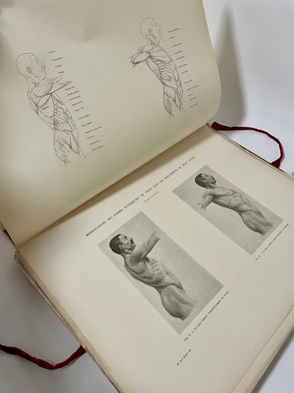 First Edition Folio Anatomie Artistique 1890 View XVIII