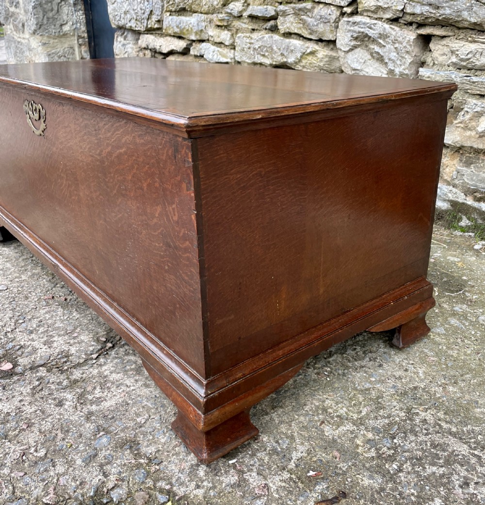 Antique Georgian Oak Crossbanded Blanket Chest View XI