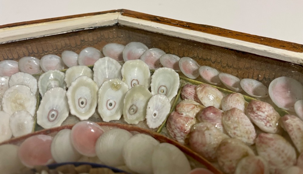 Antique Victorian Shellwork Sailors Valentine View XXV