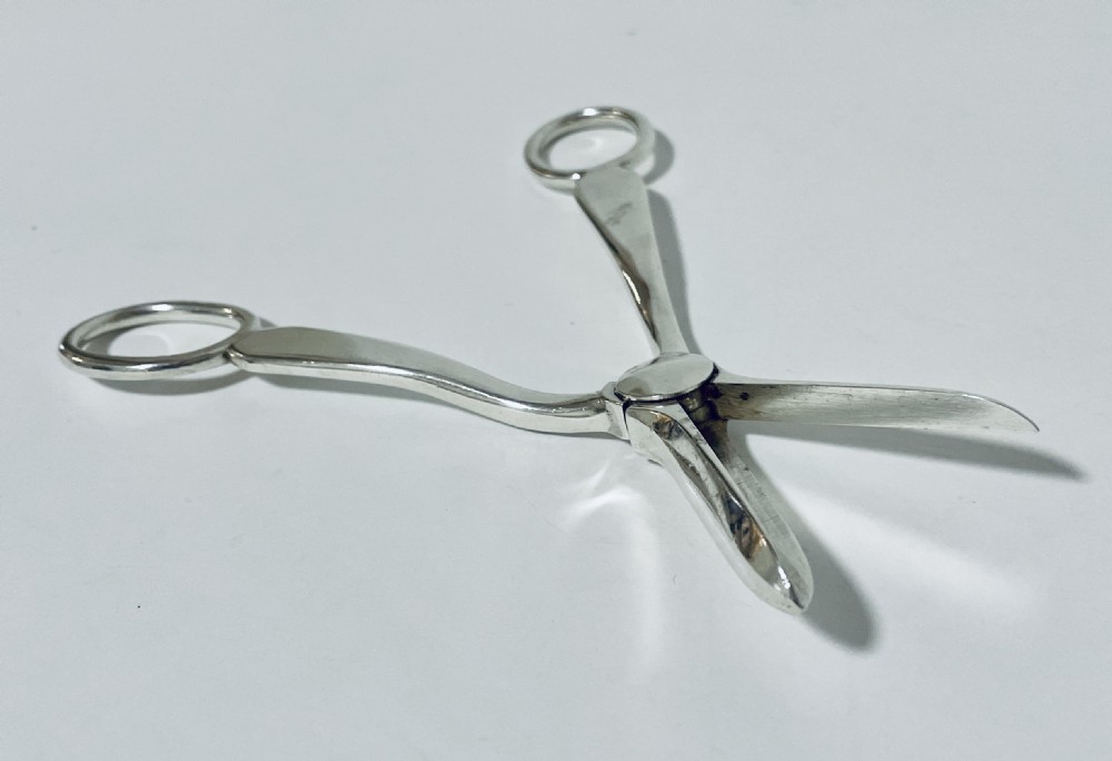 Antique Solid Silver Grape Scissors View V