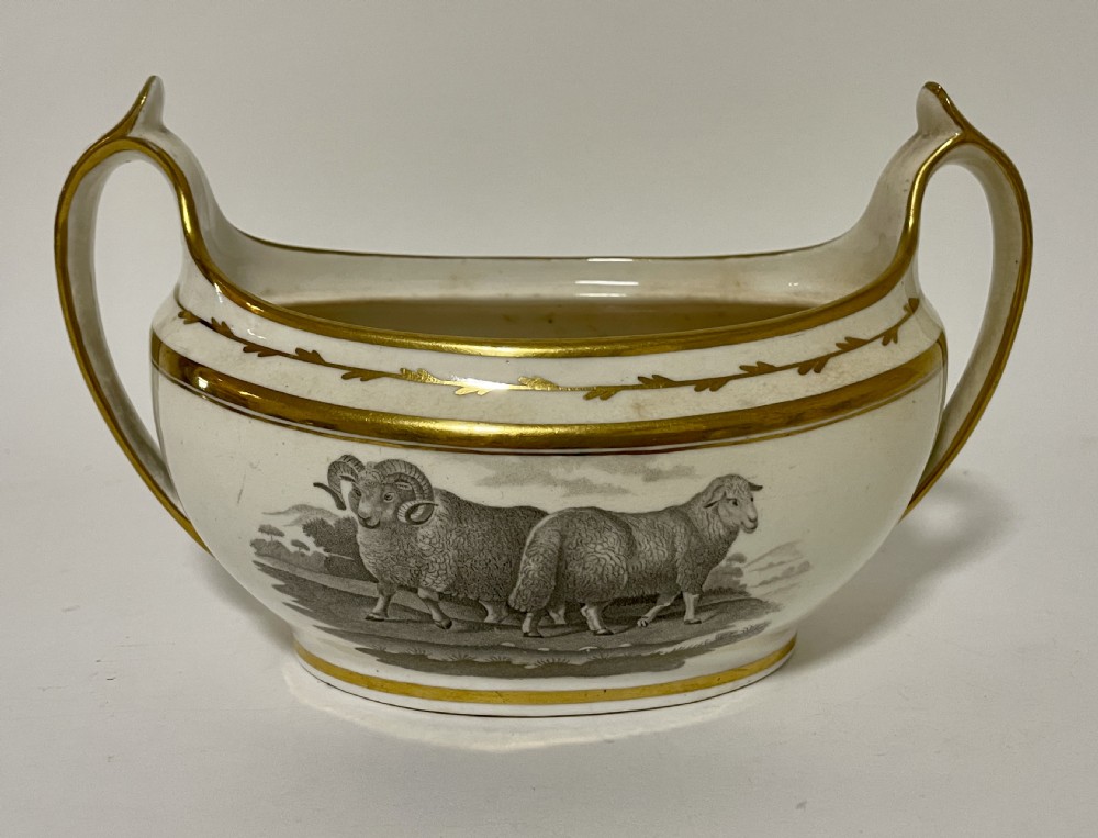 Georgian Spode Sugar Bowl 557 View V