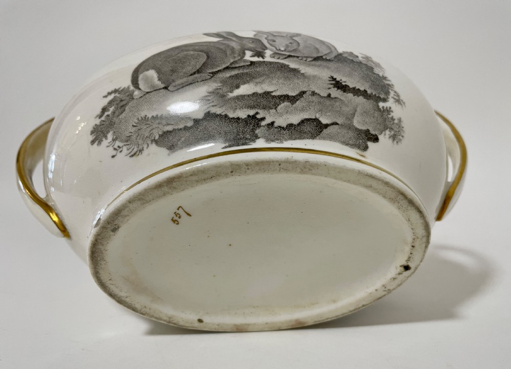 Georgian Spode Sugar Bowl 557 View X