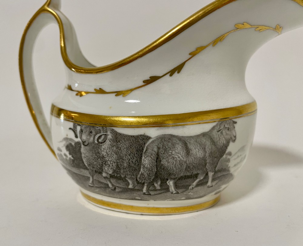 Georgian Spode Milk Jug 557 View IX