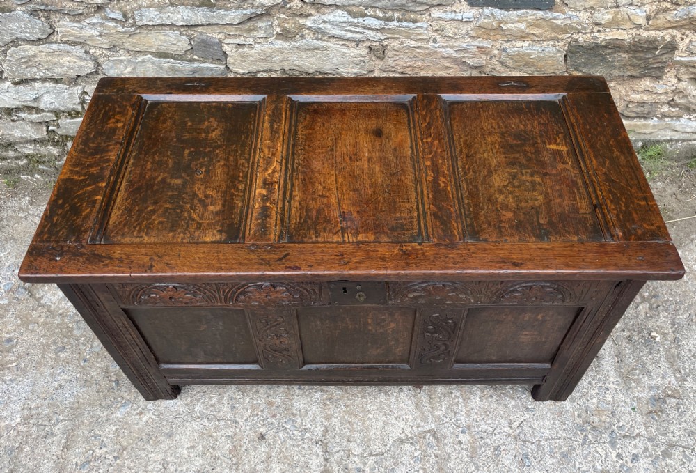 18th Century Panelled Oak Coffer View II