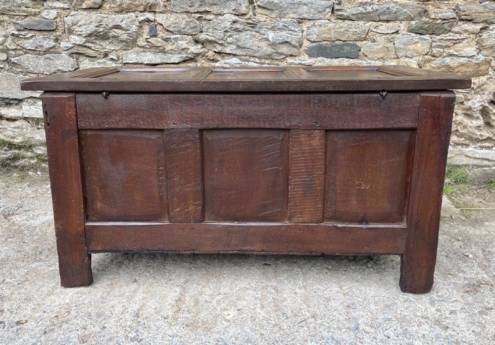 18th Century Panelled Oak Coffer View XXI