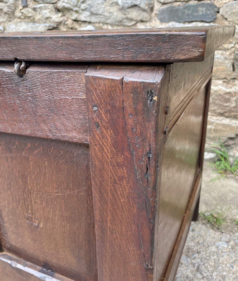 18th Century Panelled Oak Coffer View XXII
