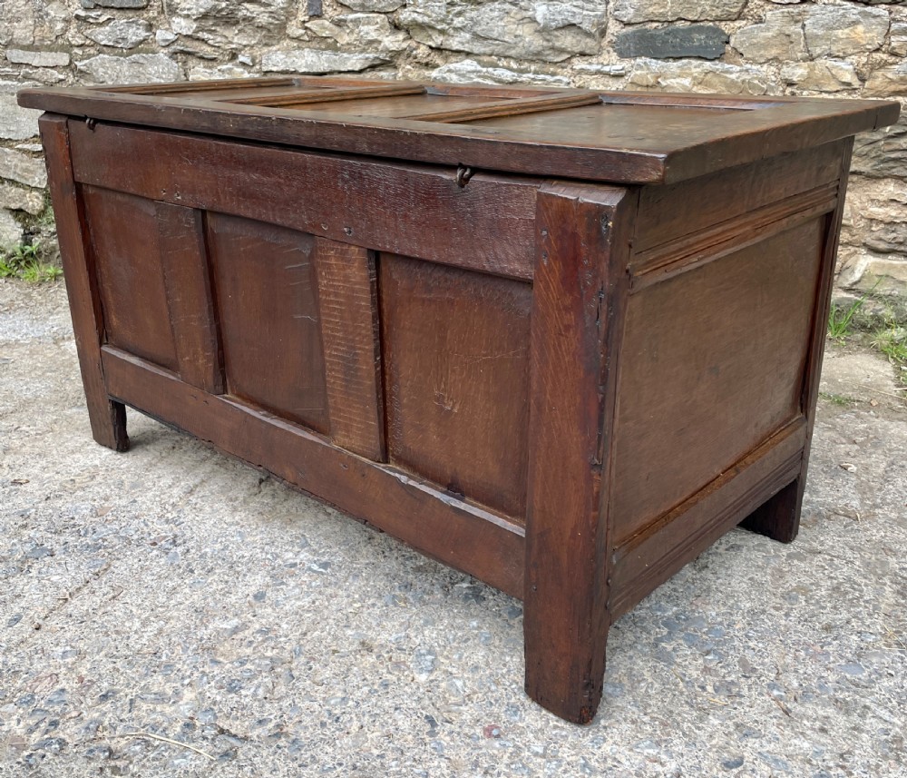 18th Century Panelled Oak Coffer View XXIII