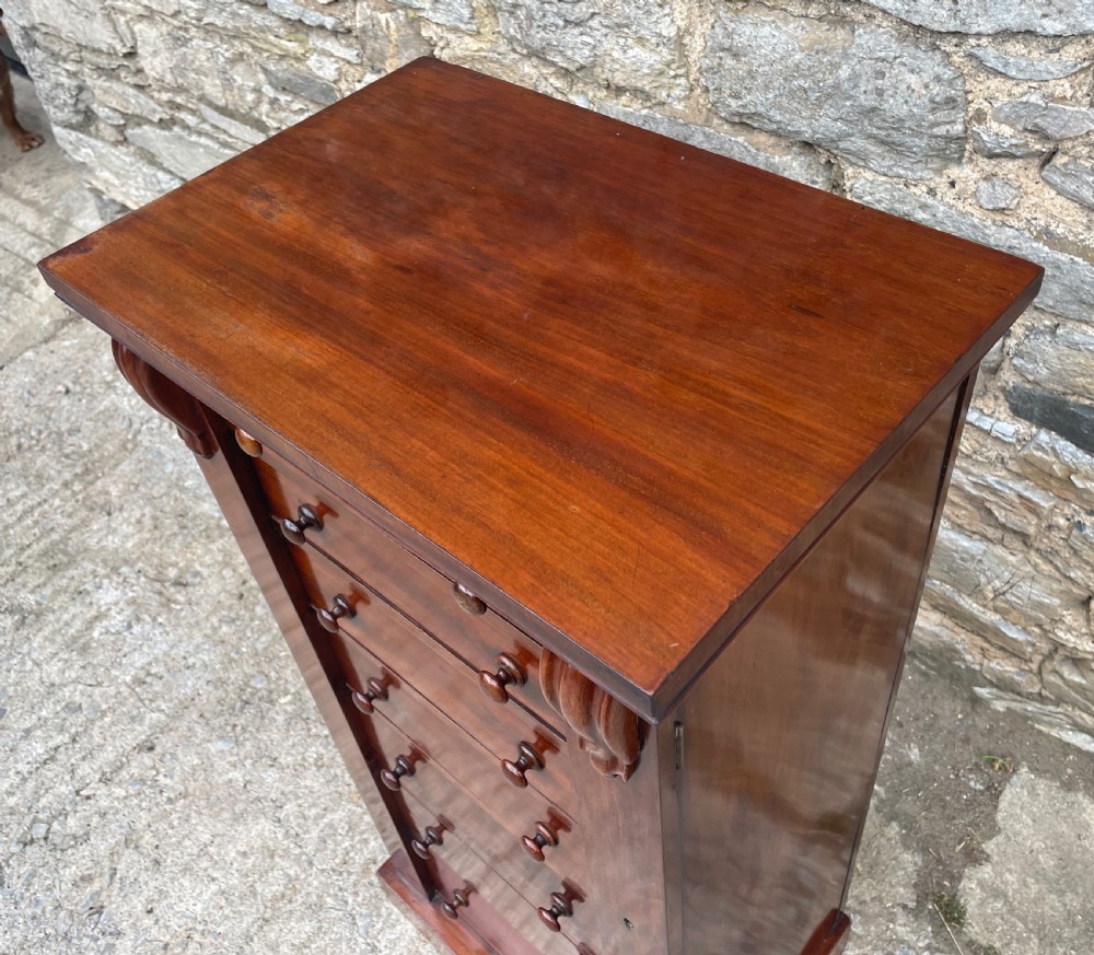 Victorian Mahogany Wellington Chest View XII