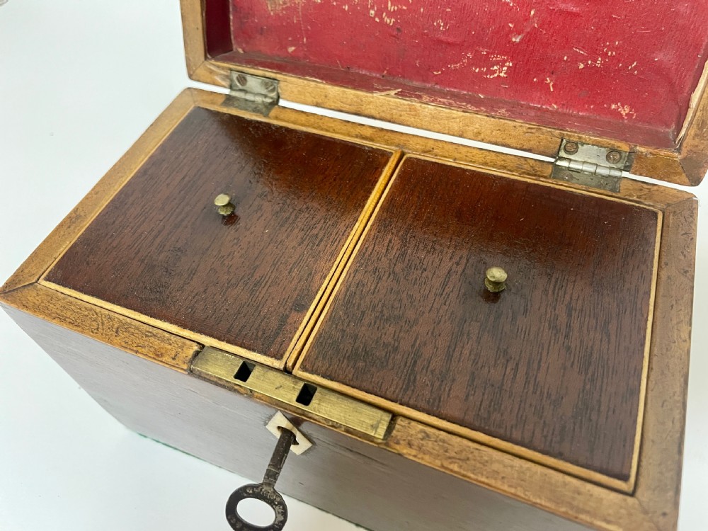 Georgian Mahogany Tea Caddy View XIII