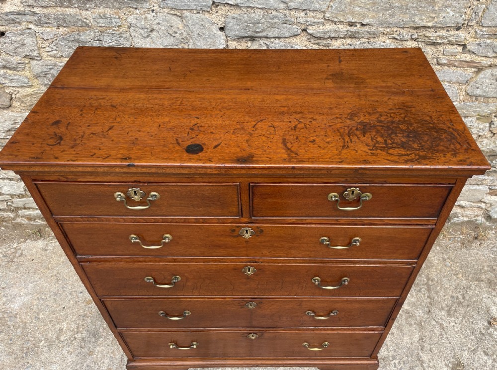 Large Georgian Oak Chest of Drawers View VIII
