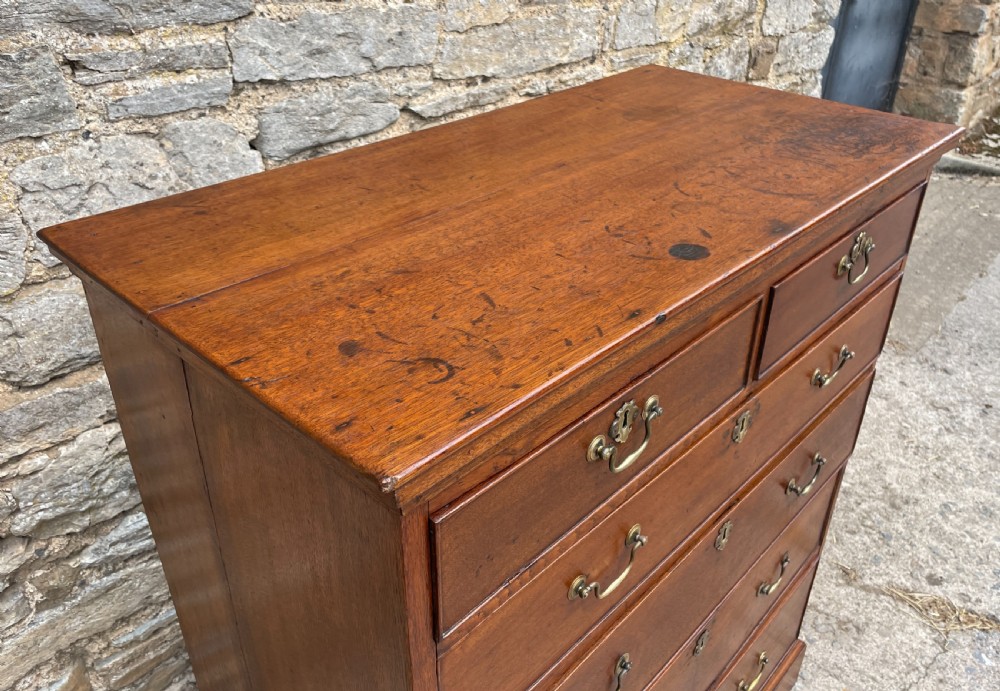 Large Georgian Oak Chest of Drawers View X
