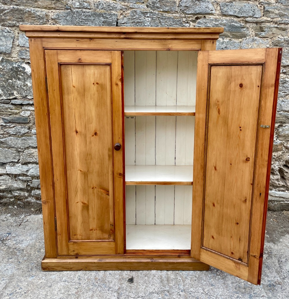 Antique Stripped Pine Cupboard View XIII