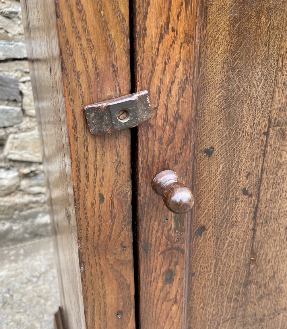 Antique Oak Cupboard View XI