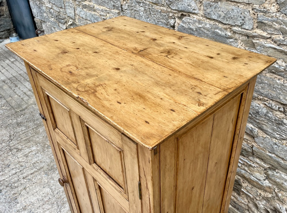 Antique Stripped Pine Larder Cupboard View IX
