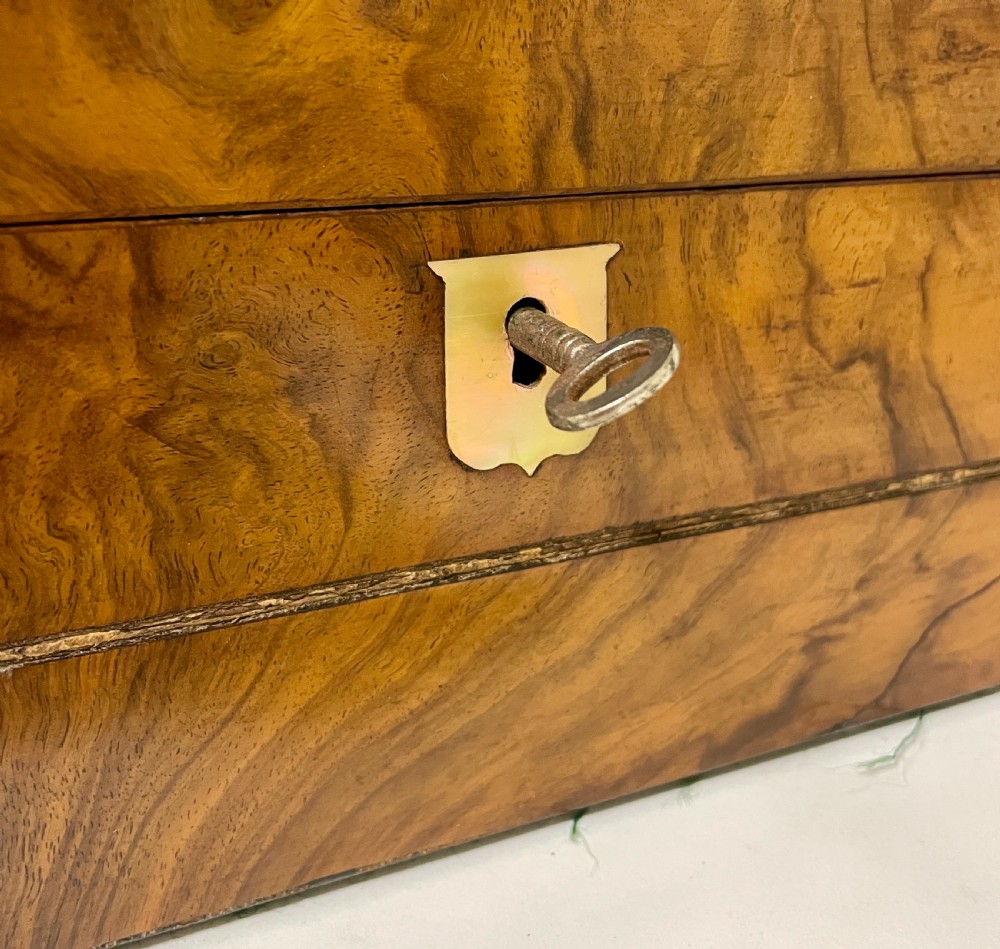 Victorian Burr Walnut Writing Slope View VI