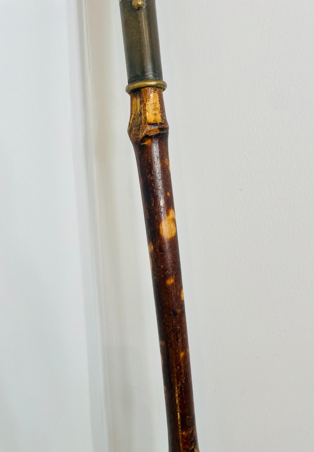 Victorian Bamboo Book Grab View III