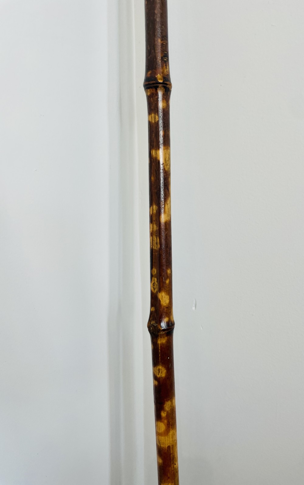 Victorian Bamboo Book Grab View XII