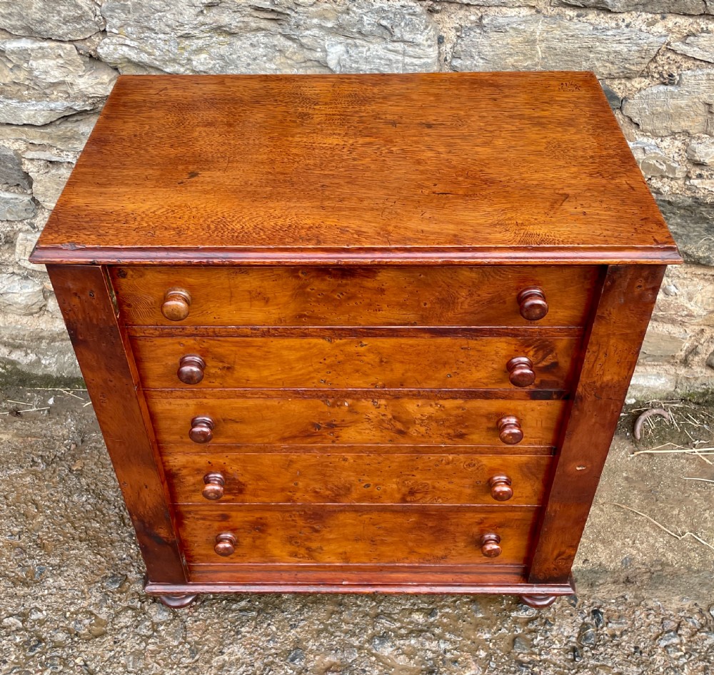 Victorian Yew Wood Wellington Chest View II