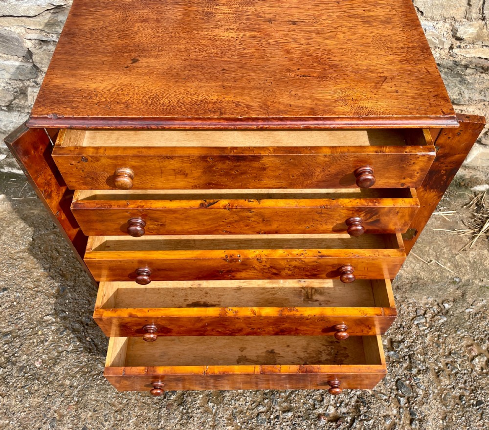 Victorian Yew Wood Wellington Chest View XII