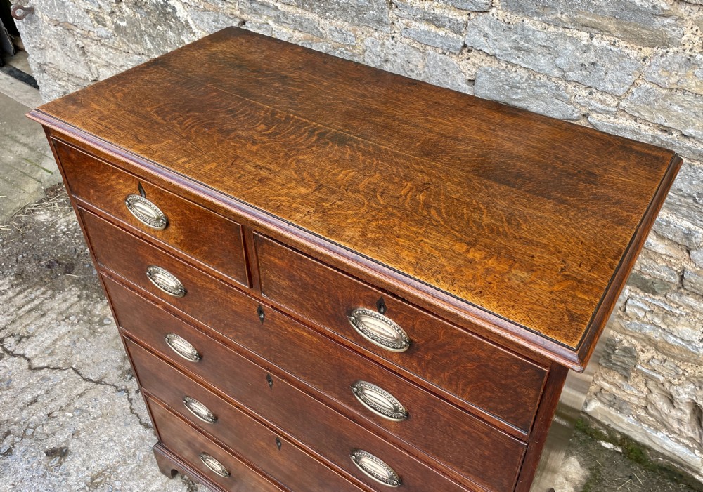 Large Georgian Oak Chest of Drawers View VII