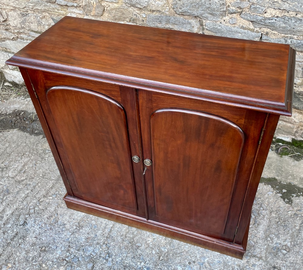 Victorian Mahogany Cupboard View IX