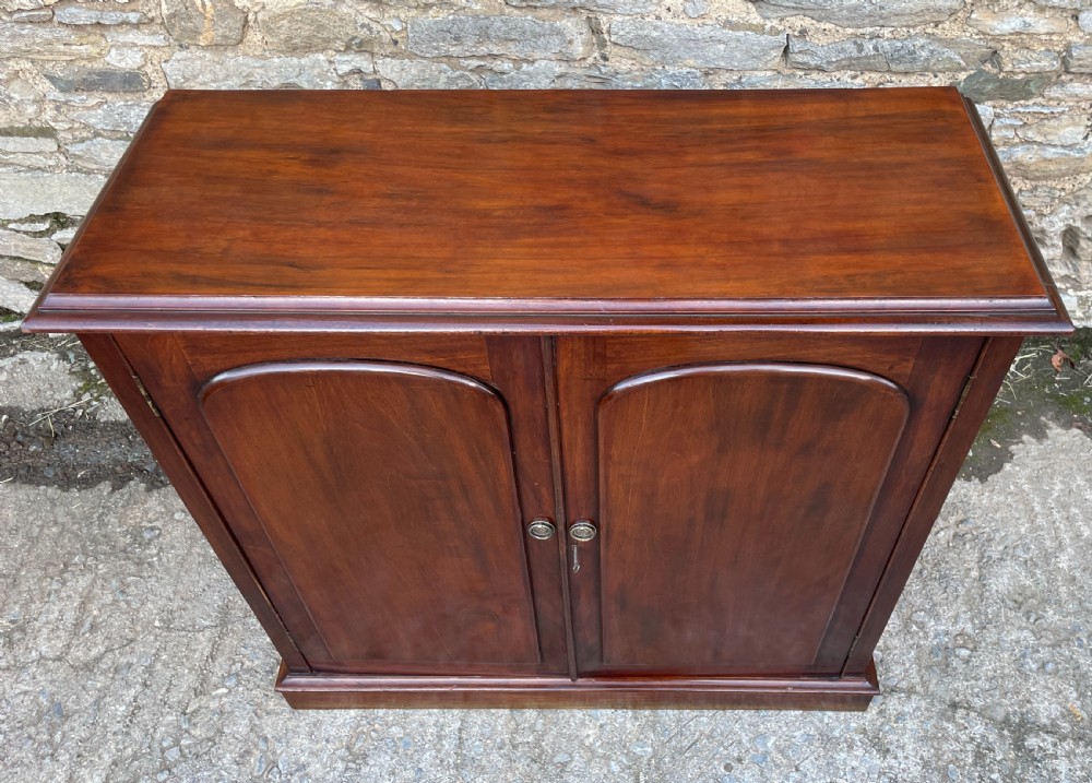 Victorian Mahogany Cupboard View X