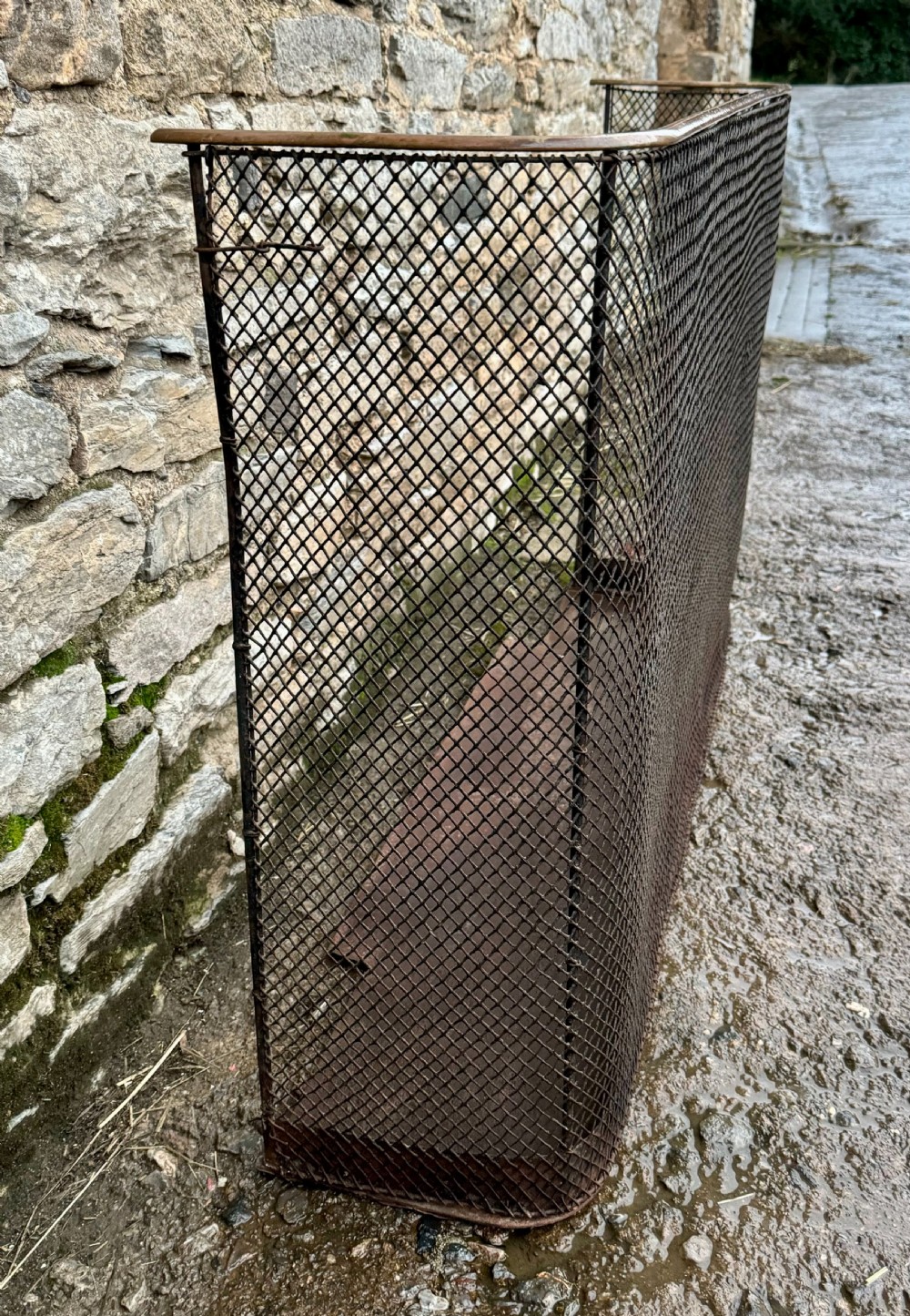 Victorian Fire Guard View VI
