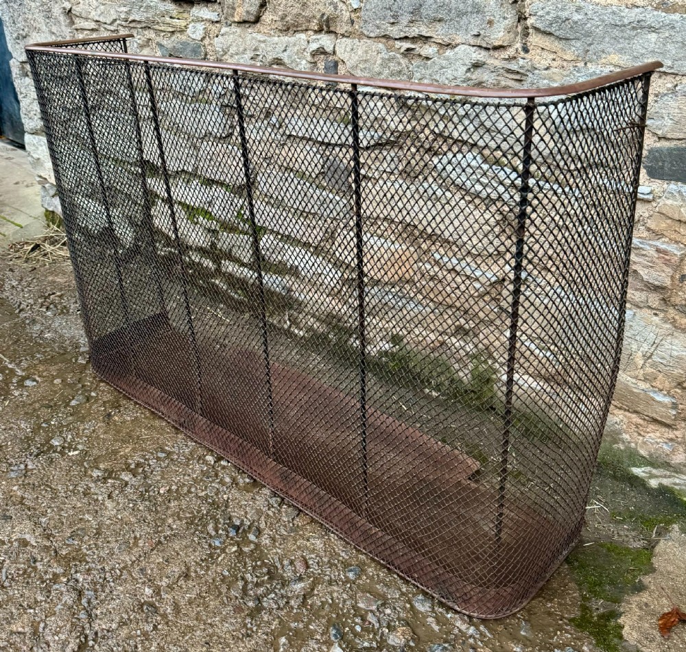 Victorian Fire Guard View VII