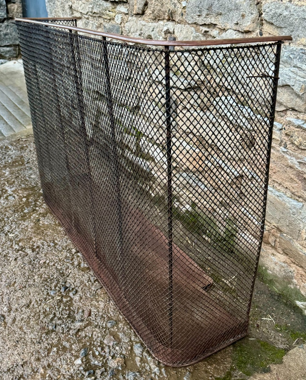 Victorian Fire Guard View IX