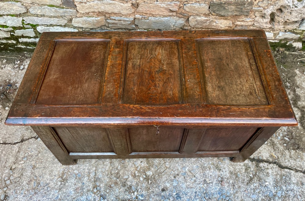 18th Century Oak Panelled Coffer View IV