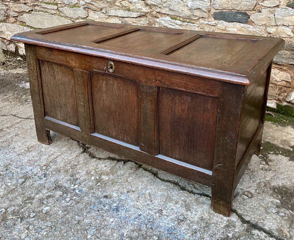 18th Century Oak Panelled Coffer View VIII