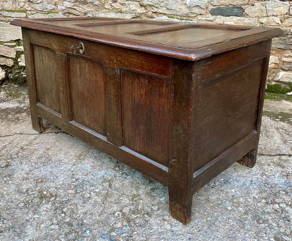 18th Century Oak Panelled Coffer View XIX