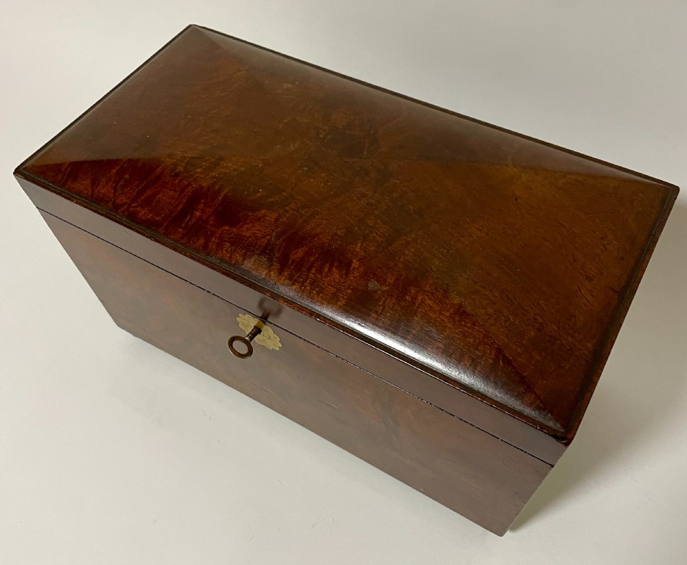 Regency Mahogany Tea Caddy View XIII