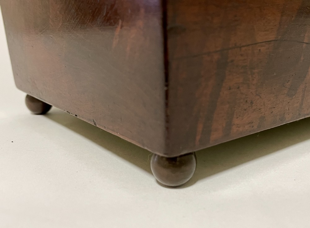 Regency Mahogany Tea Caddy View XVIII