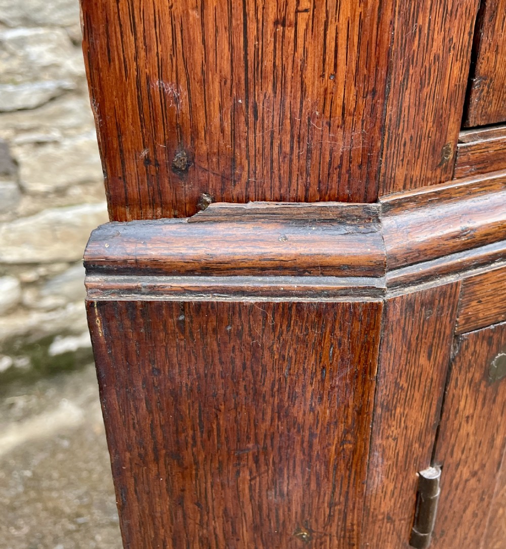 Georgian Oak Corner Cupboard View XI
