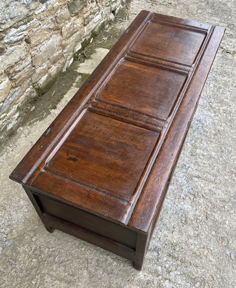 18th Century Oak Coffer View XVII