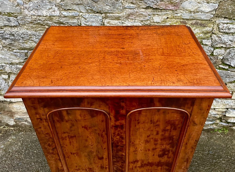 Large Victorian Figured Mahogany Cupboard View XIII