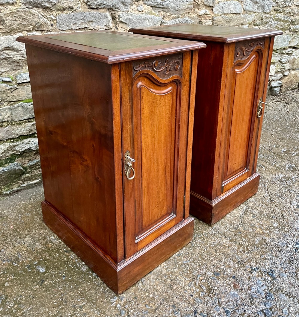 Pair of Art Nouveau Mahogany Bedside Cupboards View V