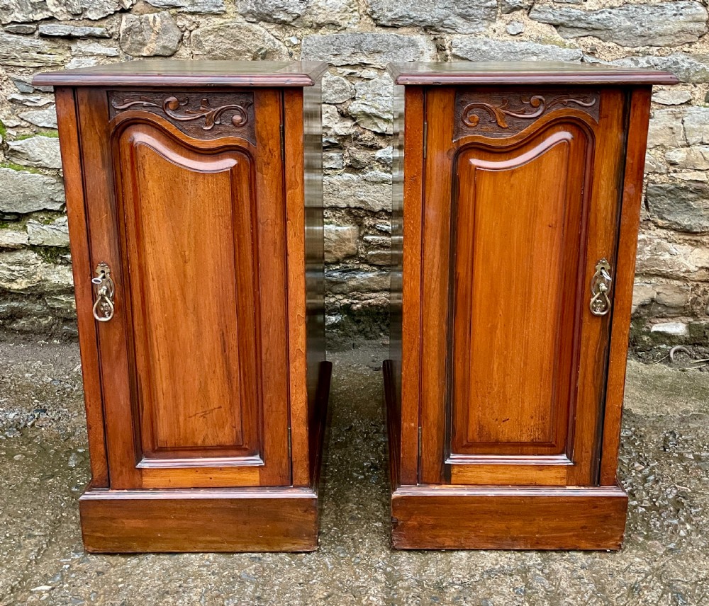 Pair of Art Nouveau Mahogany Bedside Cupboards View IX