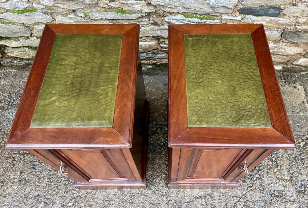 Pair of Art Nouveau Mahogany Bedside Cupboards View XI
