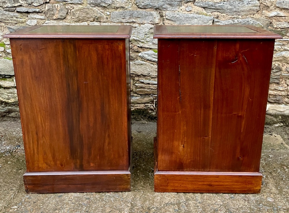 Pair of Art Nouveau Mahogany Bedside Cupboards View XIV