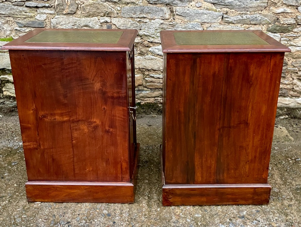 Pair of Art Nouveau Mahogany Bedside Cupboards View XV