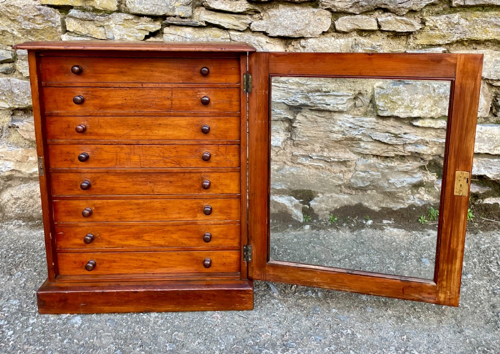 Victorian Pine Collectors Cabinet View IV
