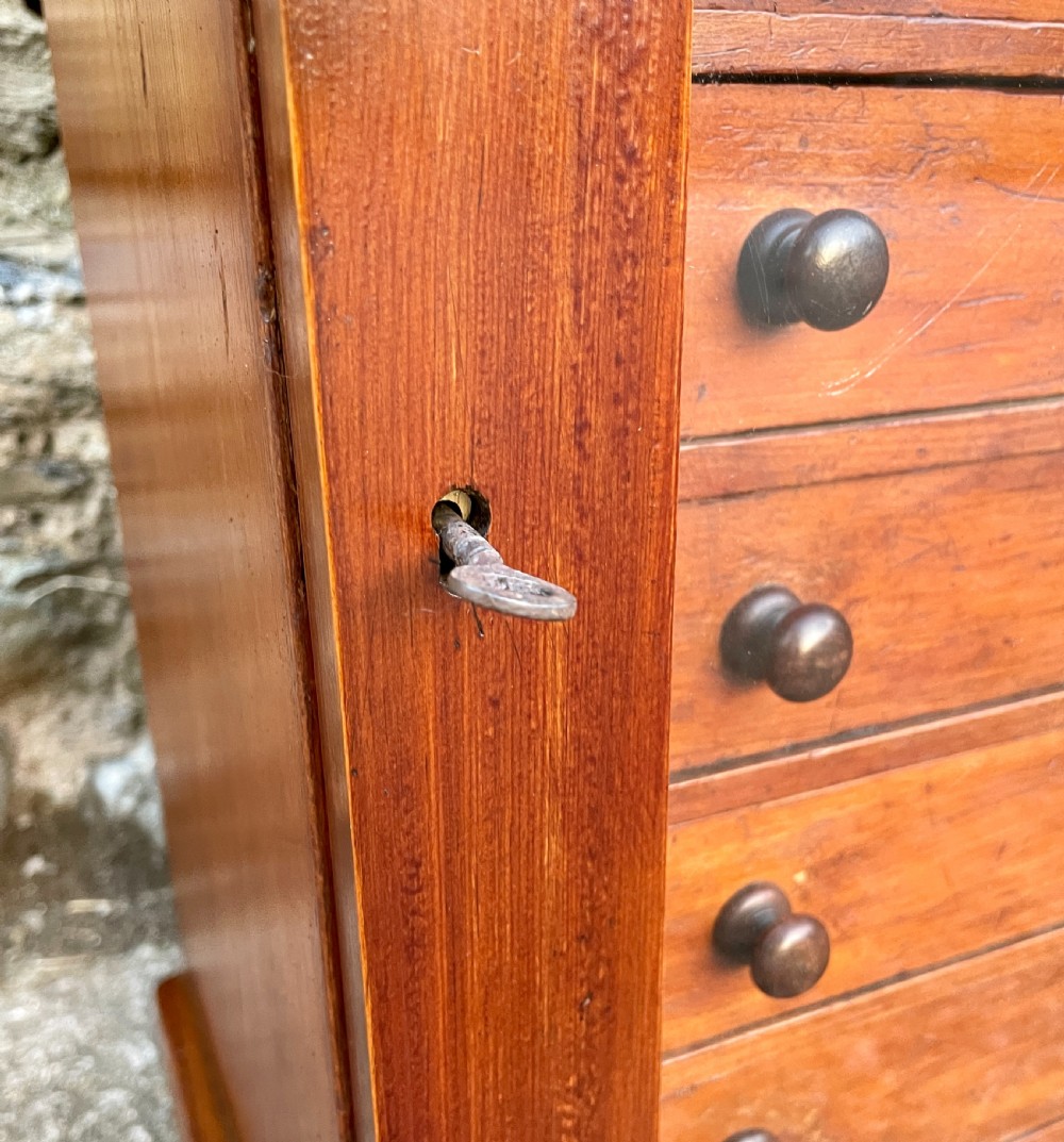 Victorian Pine Collectors Cabinet View VII