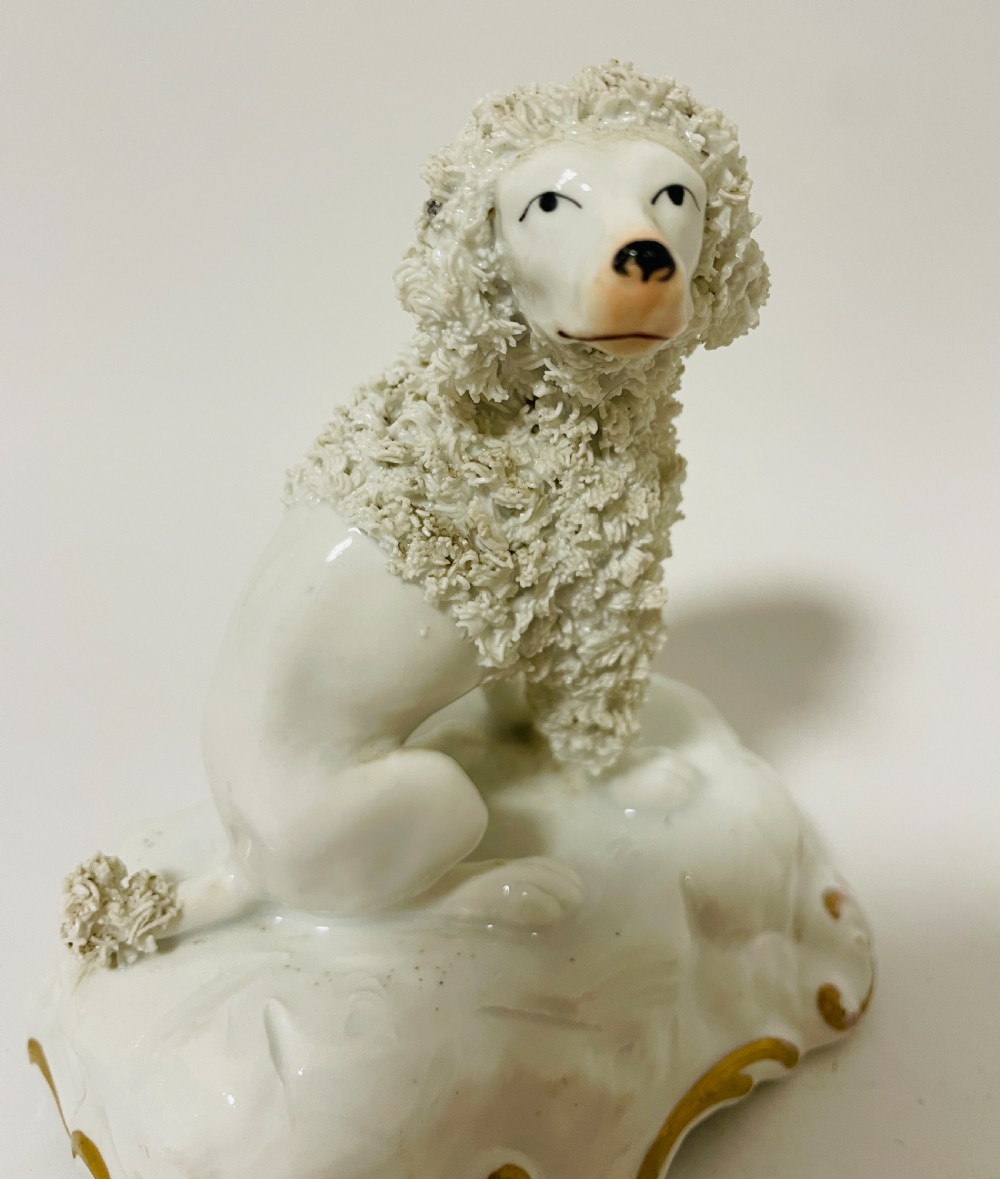 Antique Staffordshire Seated Poodle View X