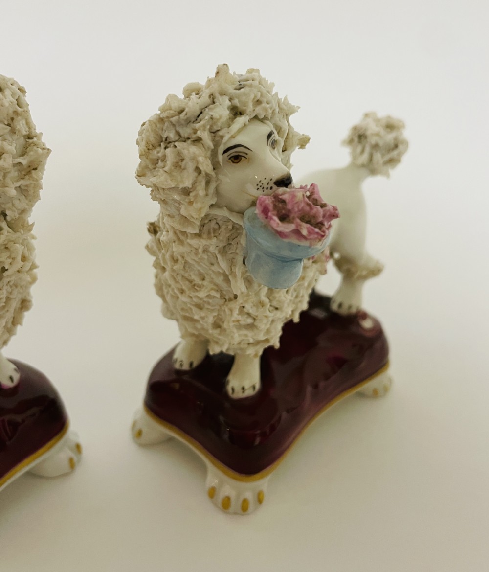 Pair of Antique Pottery Poodles View X