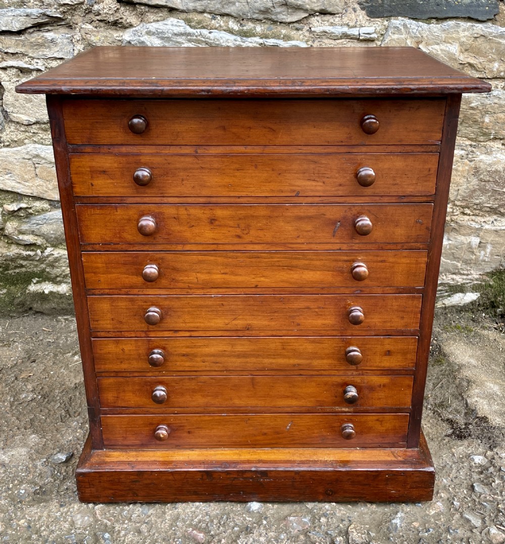 Antique Specimen Collectors Cabinet
