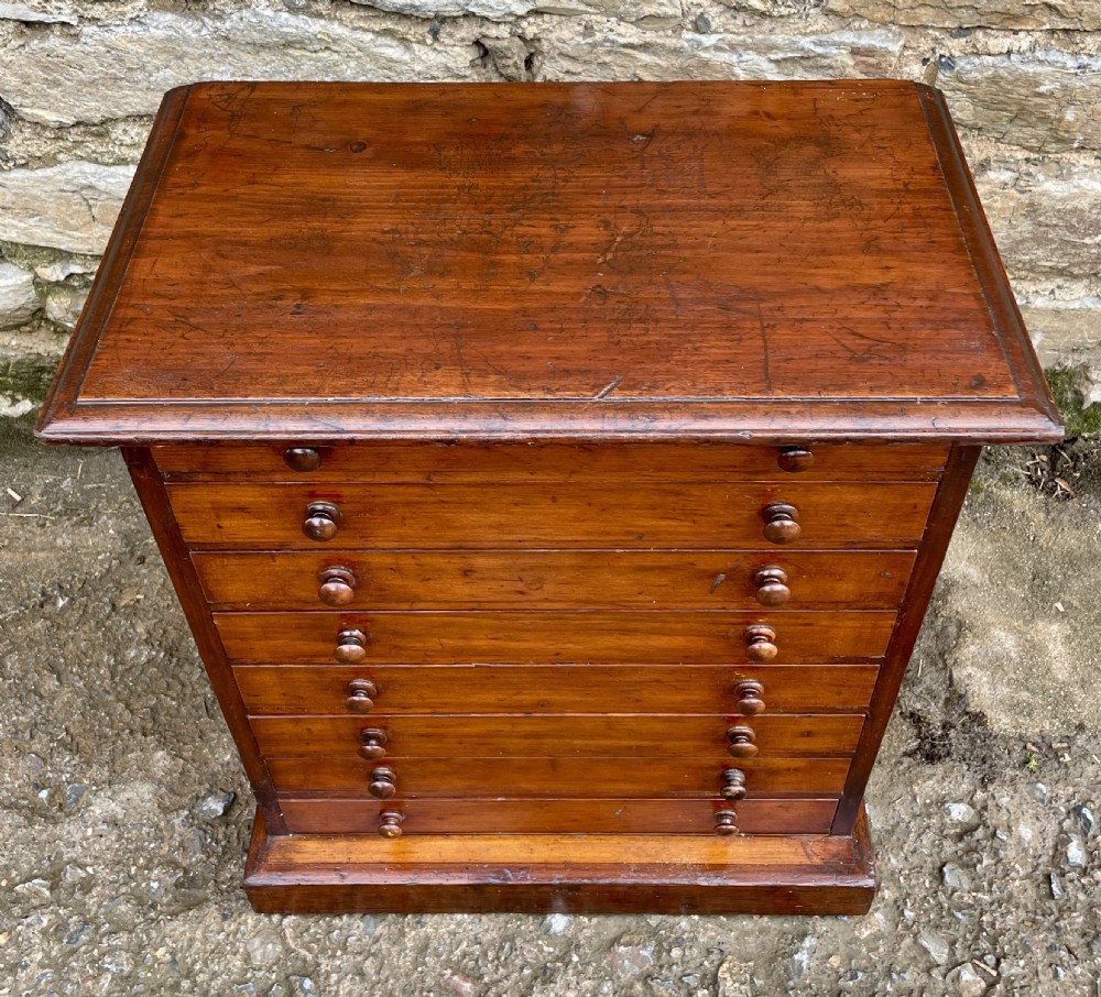 Antique Specimen Collectors Cabinet View III