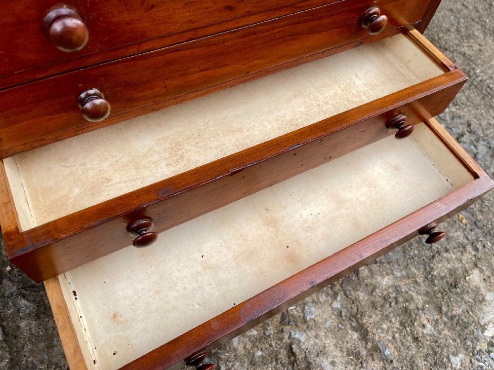 Antique Specimen Collectors Cabinet View V