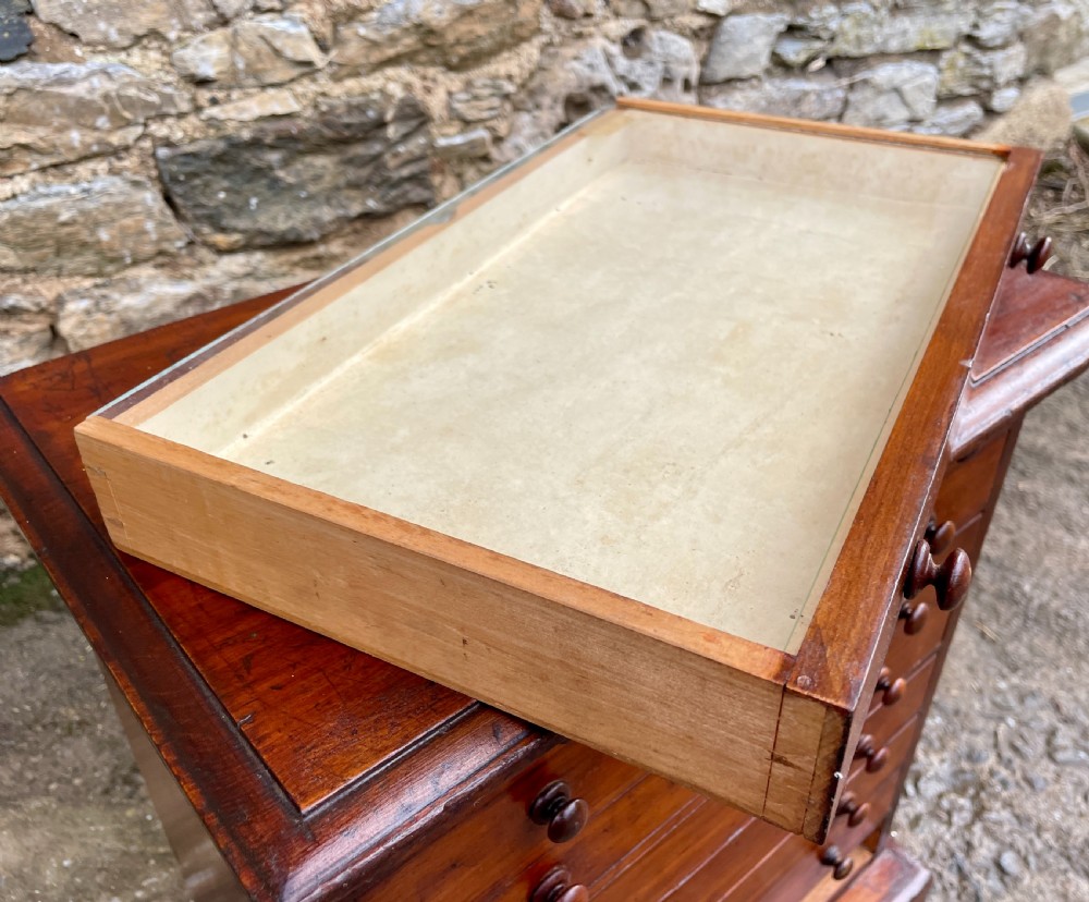 Antique Specimen Collectors Cabinet View VI